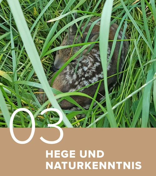 Naturkunde