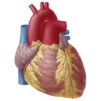 Medizin