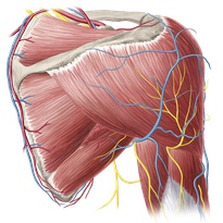 Medical