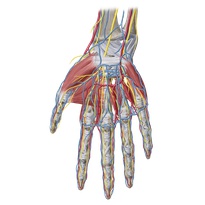 Medical